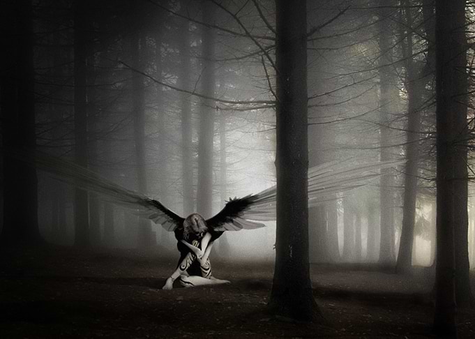 fantasy Angel