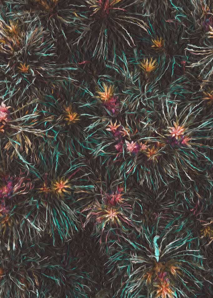 Plants on 2