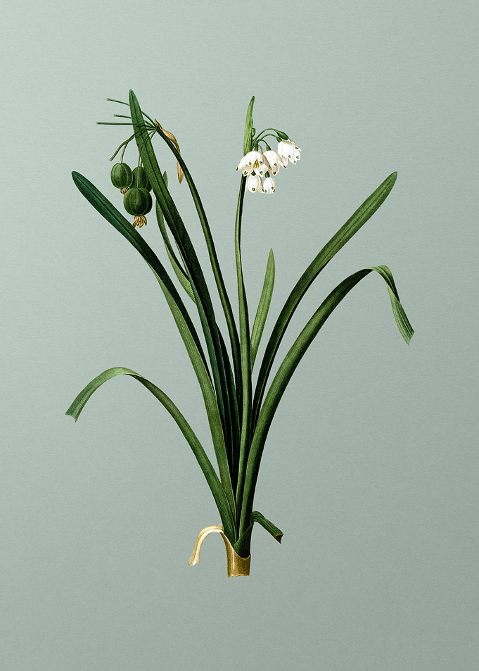 Summer Snowflake on Green