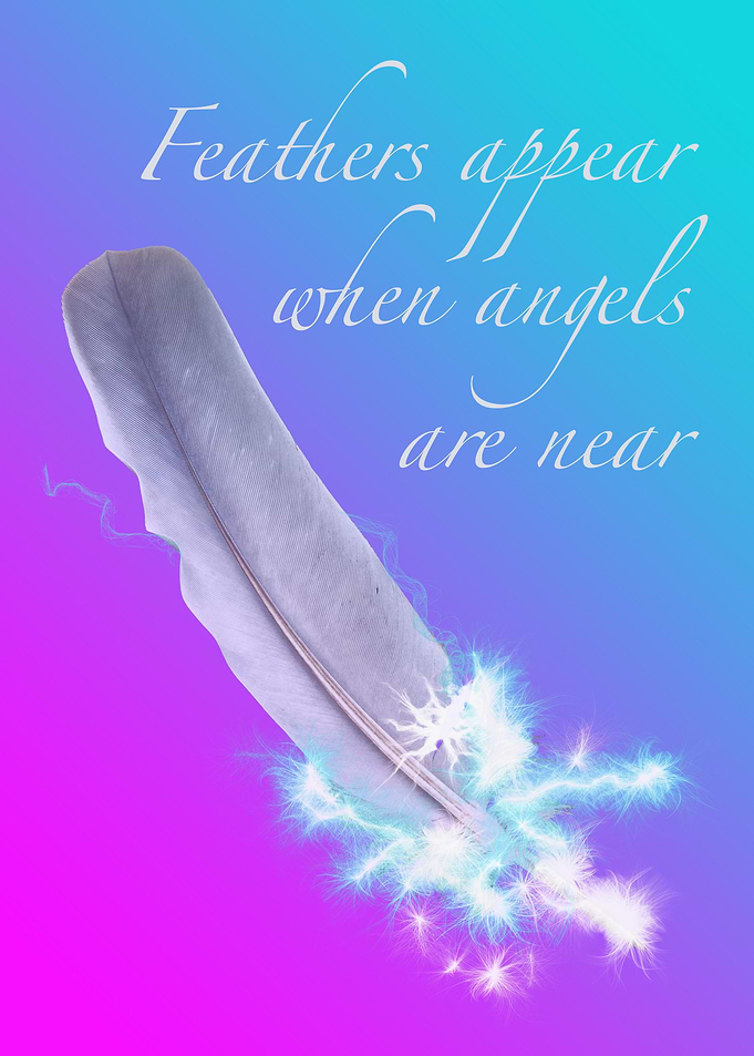 Angel Feather Purple