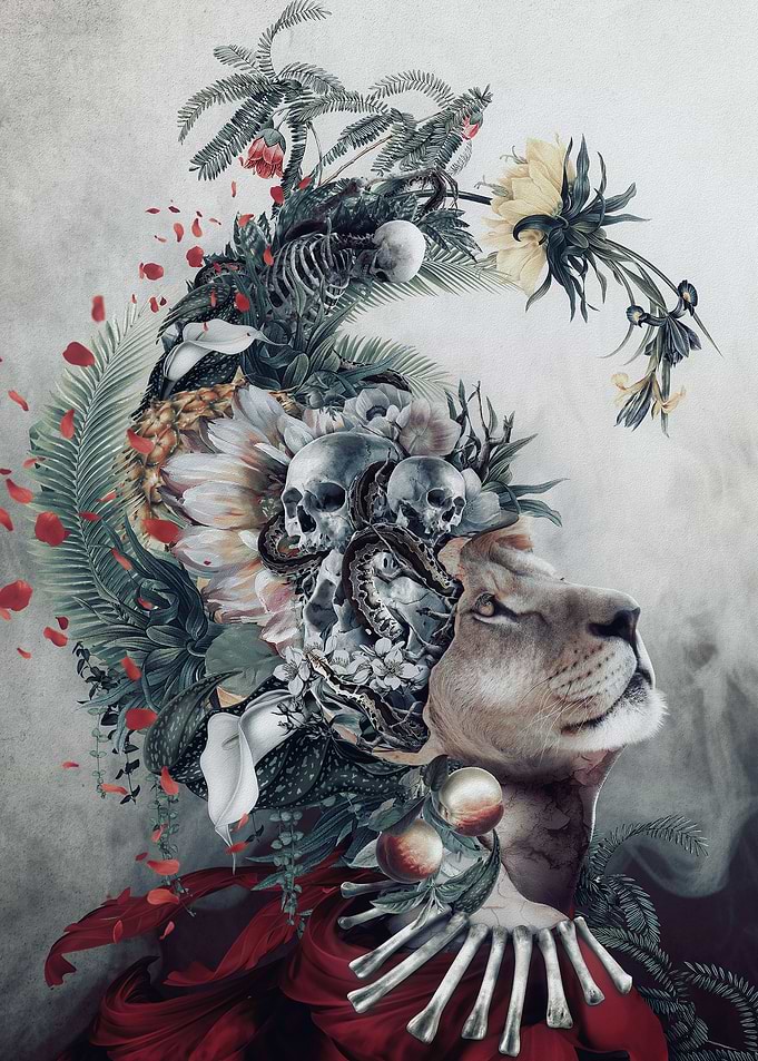 Lion