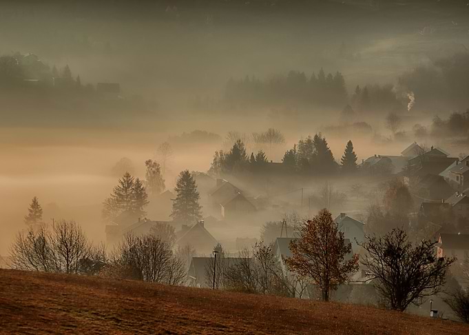 Foggy morning