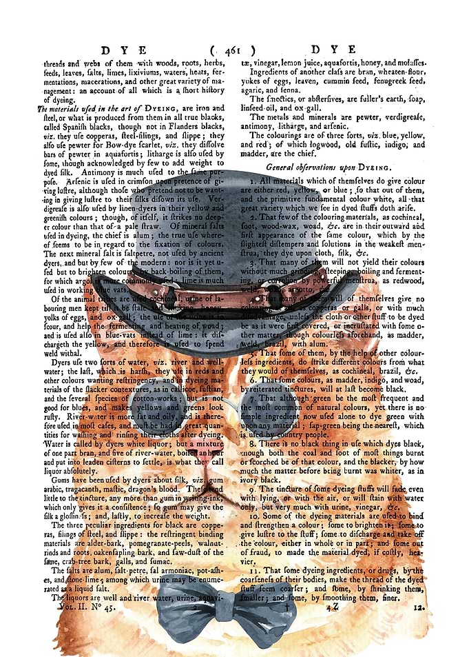 Cat and Gentleman