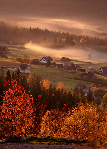 Foggy morning
