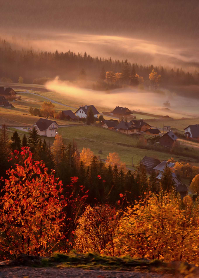 Foggy morning