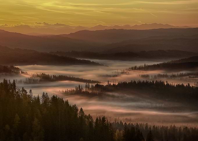 Foggy morning