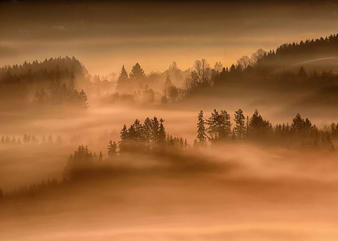 Foggy morning