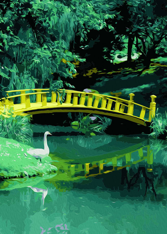 duck on lake