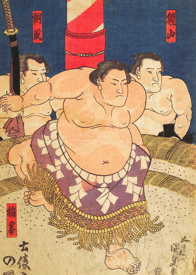 Sumo fighter II