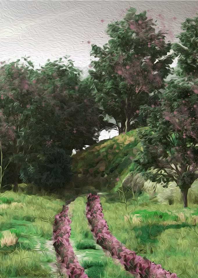 garden 2