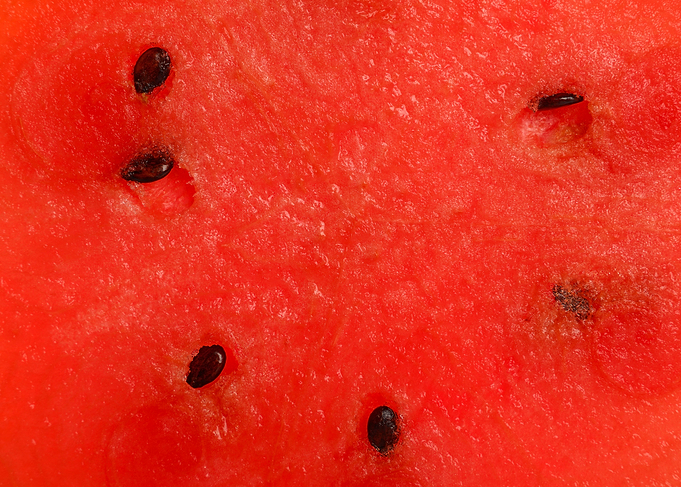 Red juicy watermelon