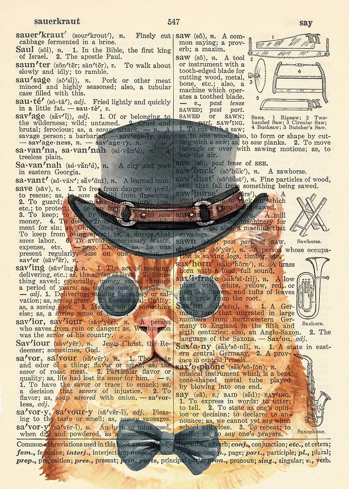 Cat and Dictionary