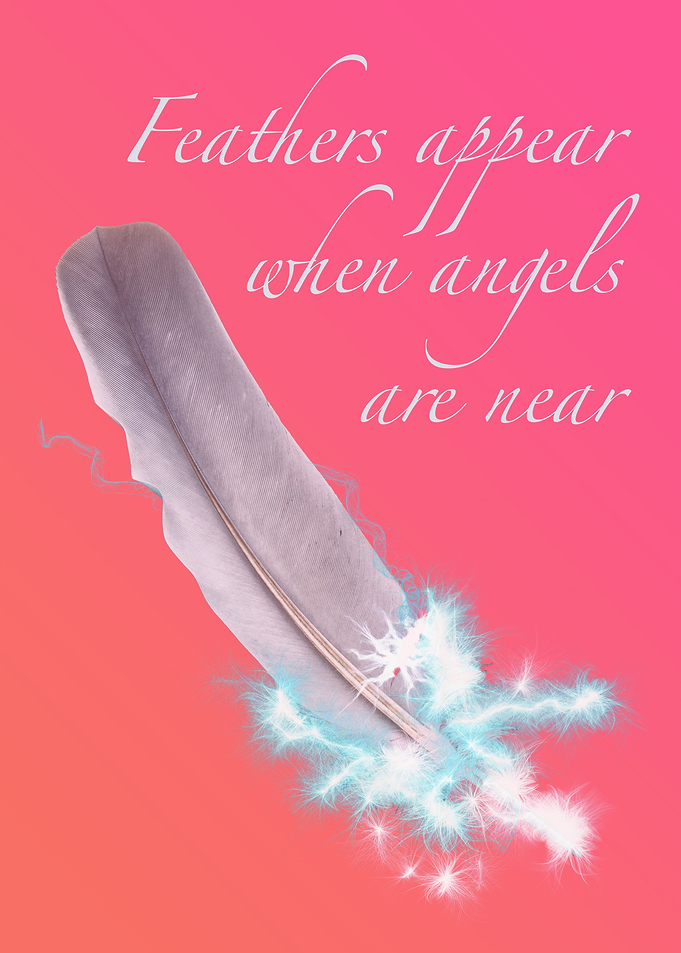 Angel Feather Orange