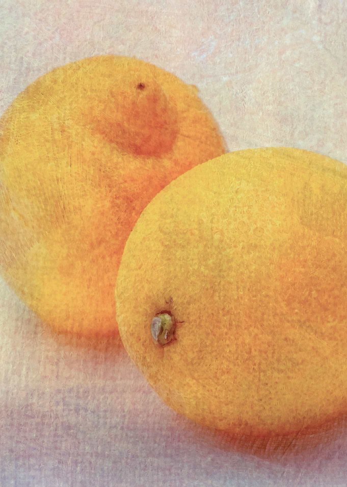 Two Yellow Lemons