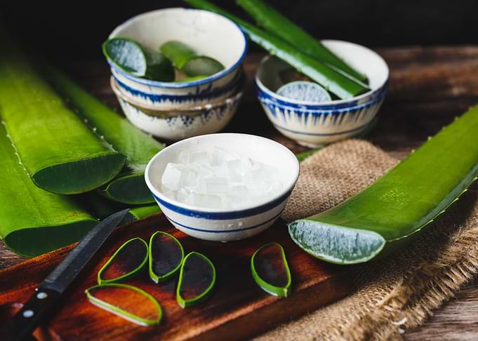 Fresh aloe vera leaves