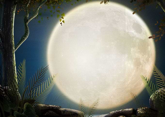 Sci Fi Moon