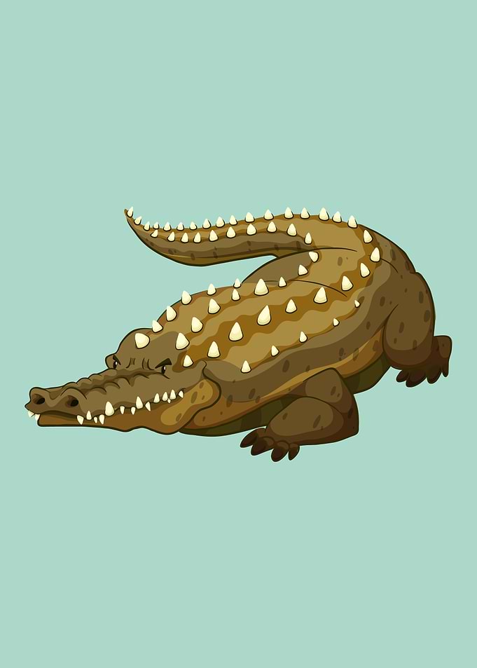 Crocodile 1