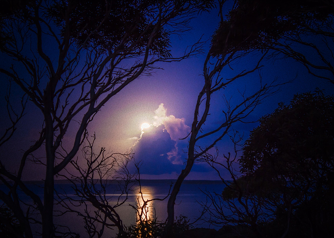 Earth Night Tree Sky Blue