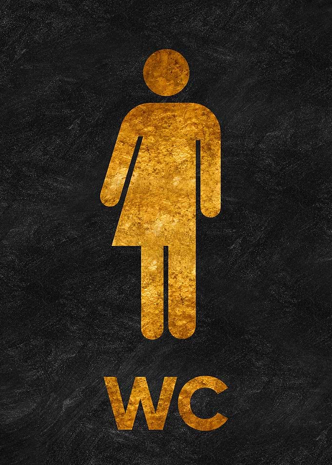wc toilet bathroom