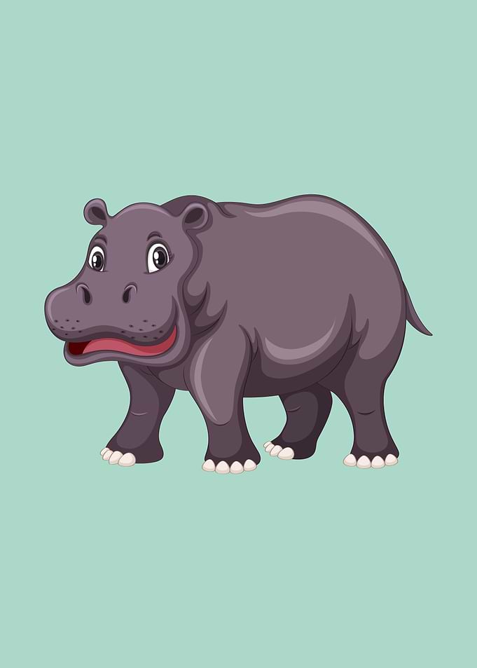Hippopotamus