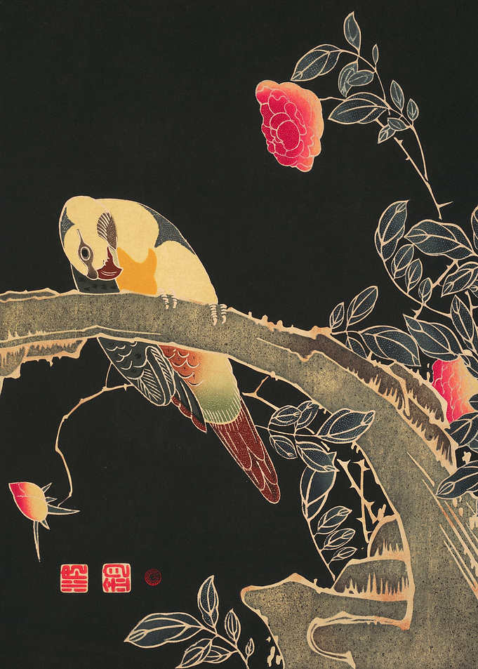 Parrot on the Branch