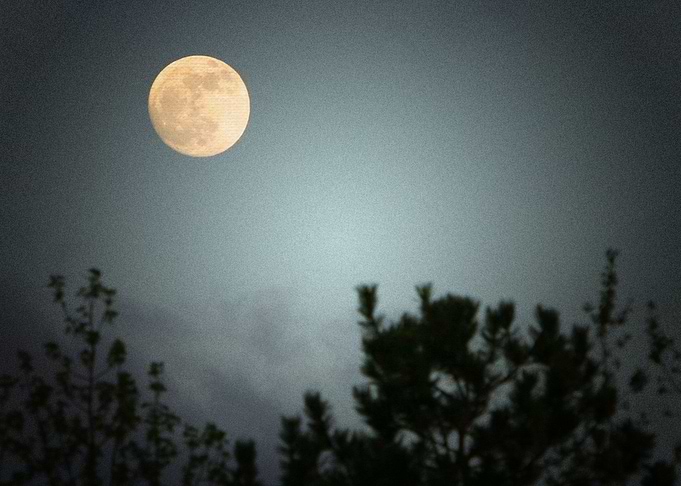 Earth Moon