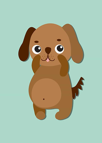 funny animals