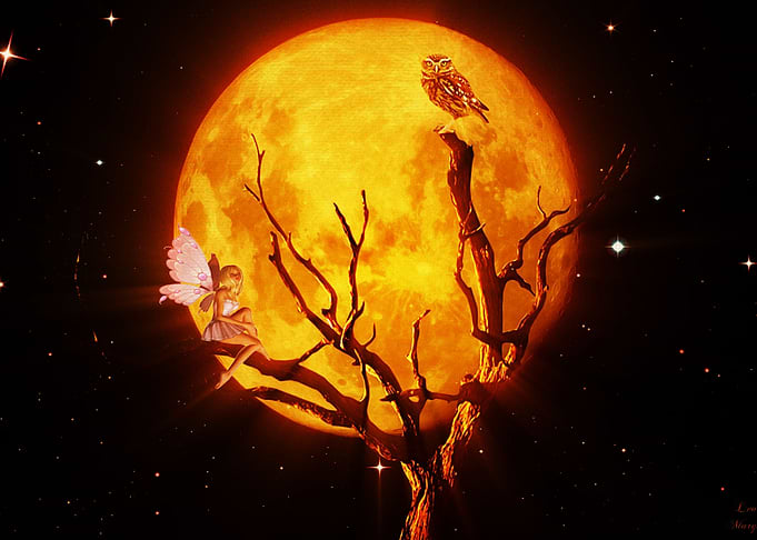 Fairy Girl Tree Owl Moon