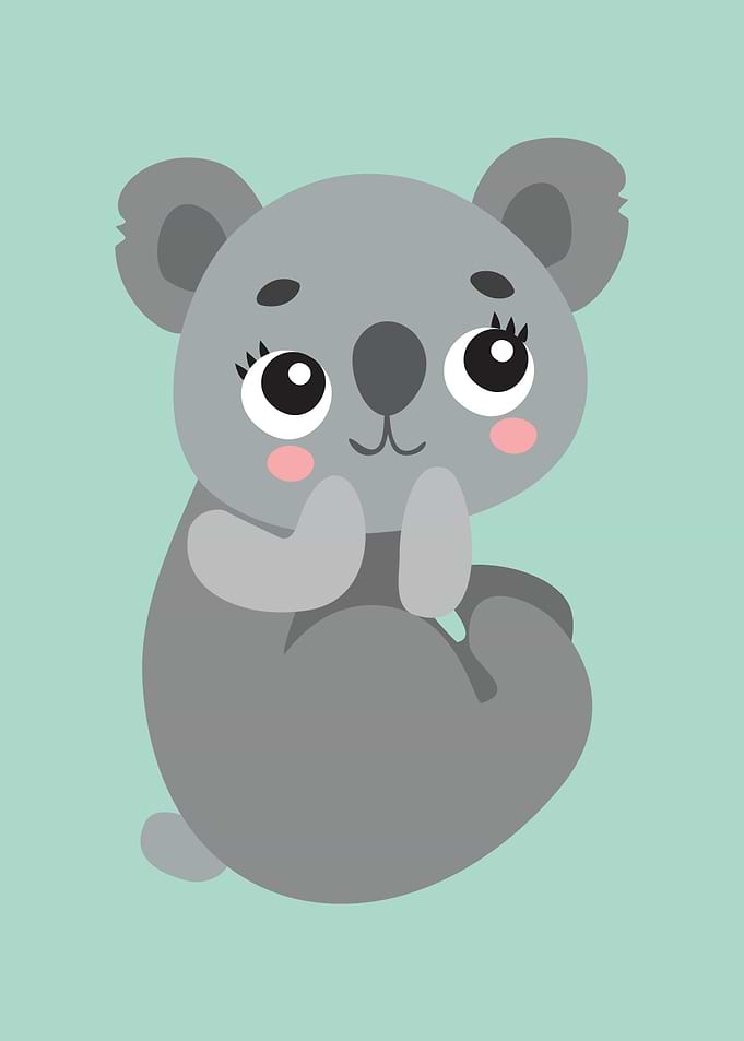 Koala