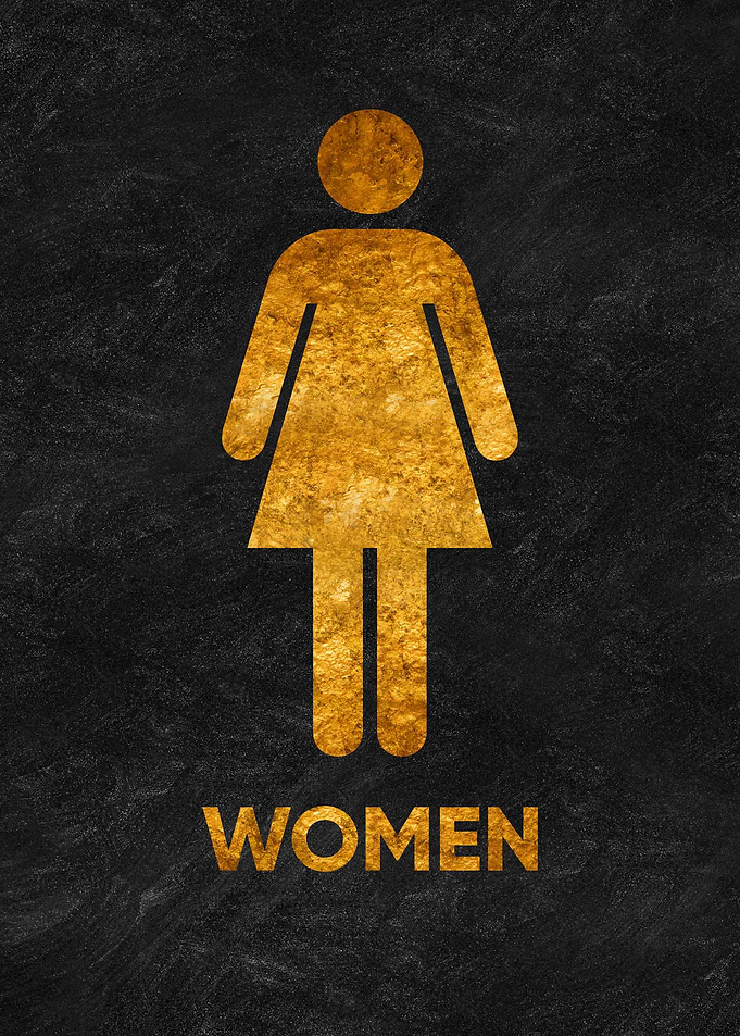 woman toilet bathroom