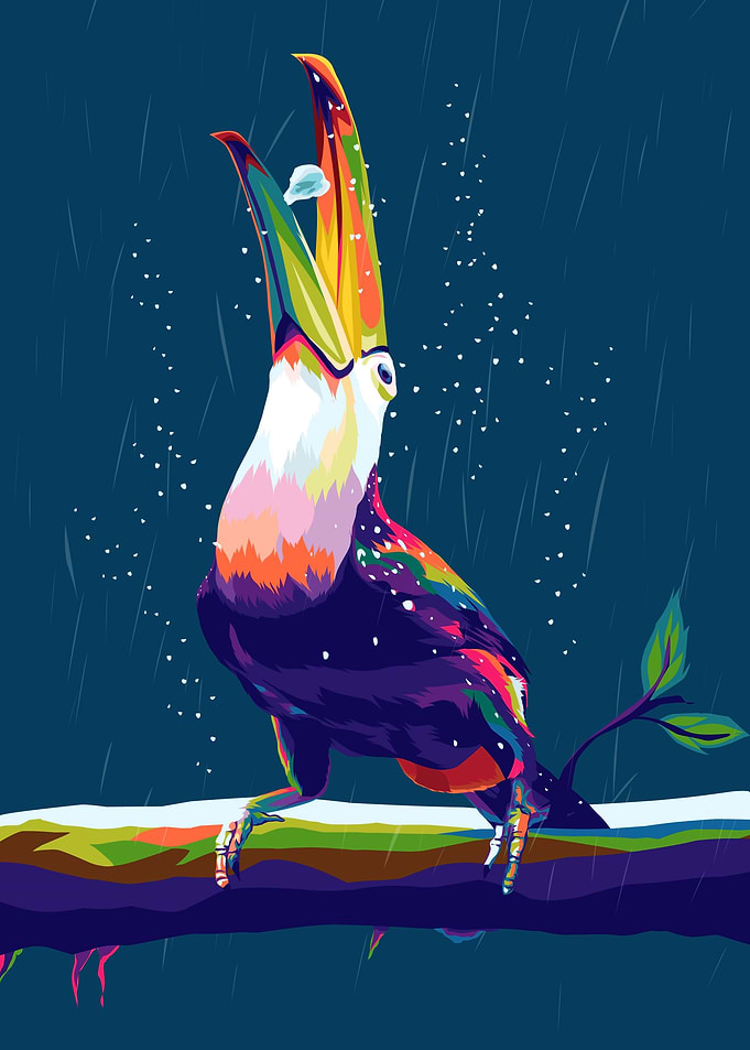 Taucan in popart