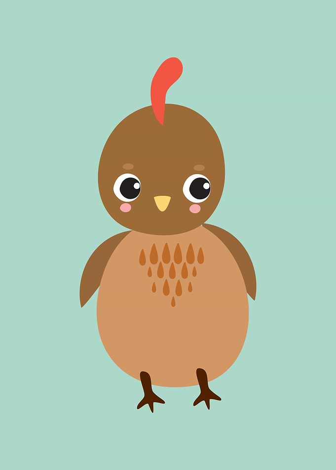 Chick