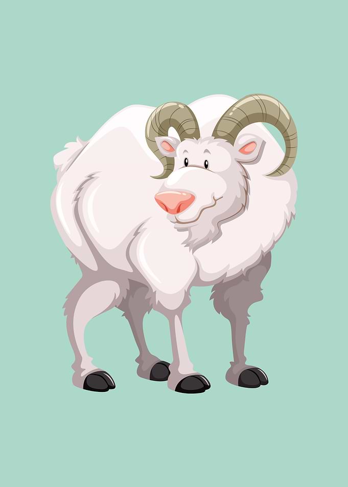 Goat