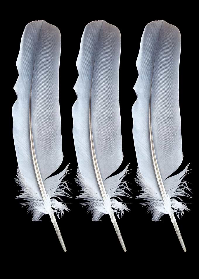 Three Feathers Dark