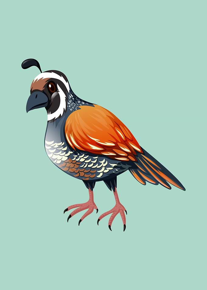 Turtledove