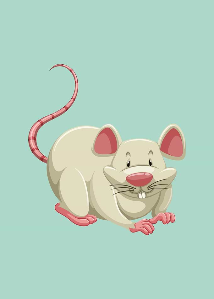 Mouse