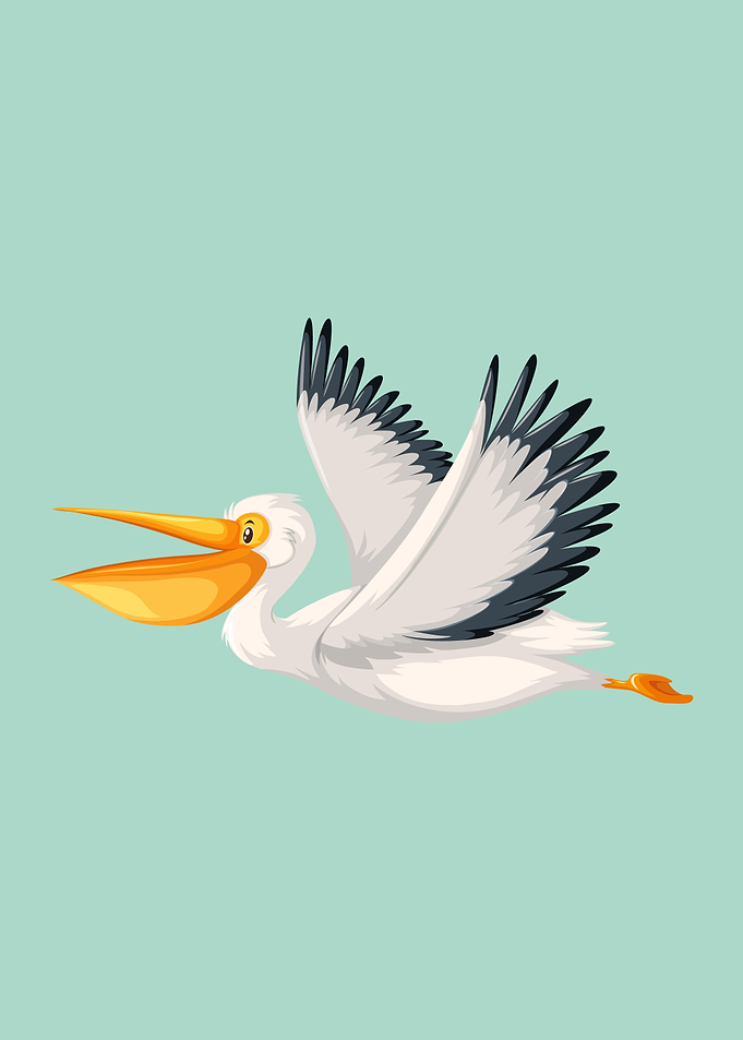 Pelican