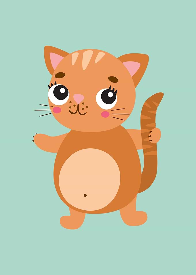 funny animals
