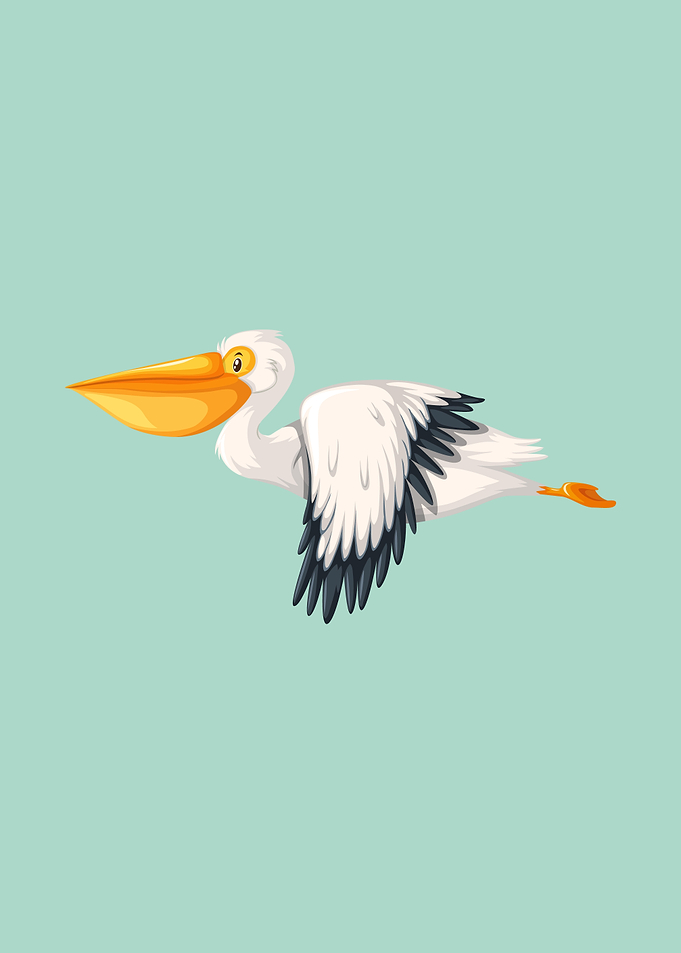 Pelican 2