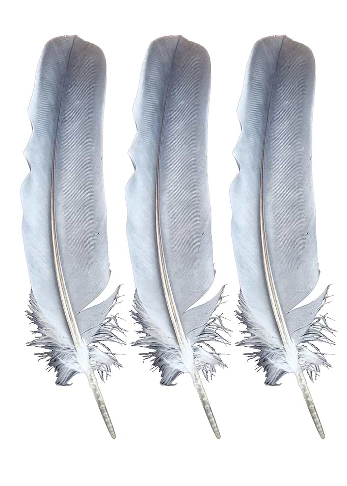 Three Feathers Light