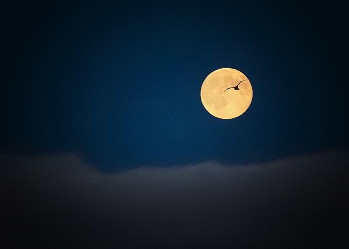 Earth Moon