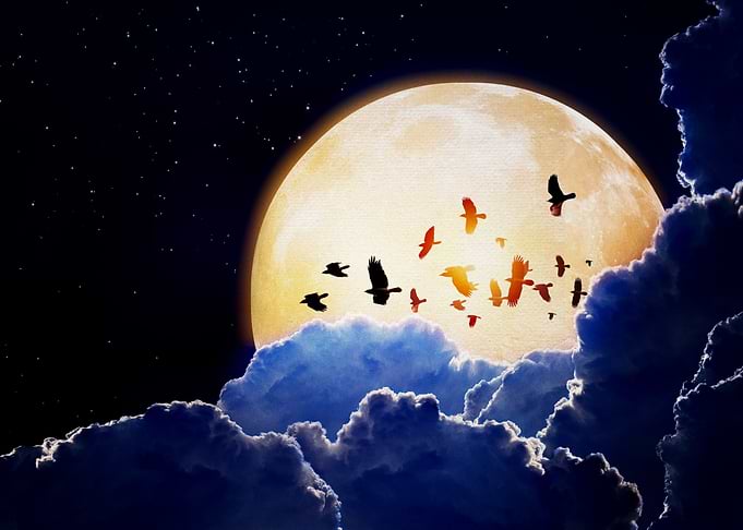 Earth Moon Bird Cloud