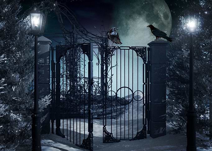 Artistic Winter Moon Lant