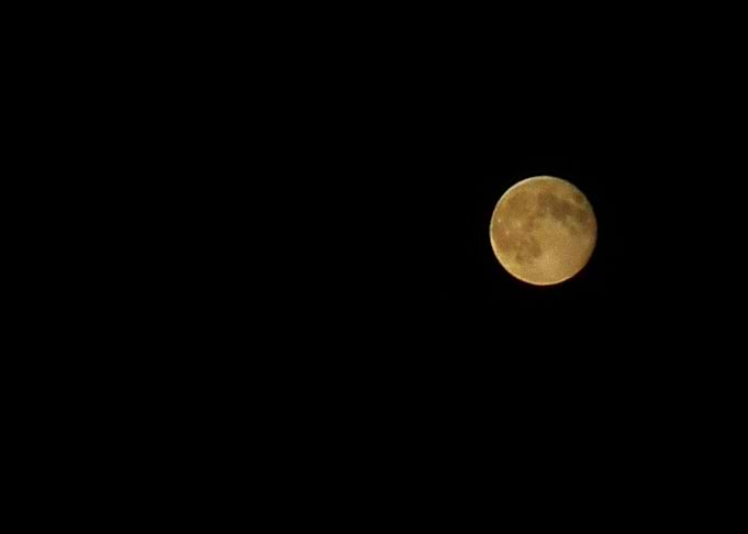 Earth Moon