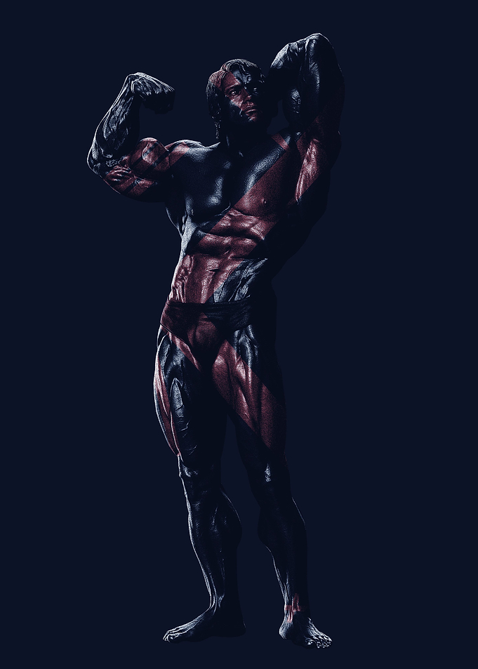 Arnold Schwarzenegger gym