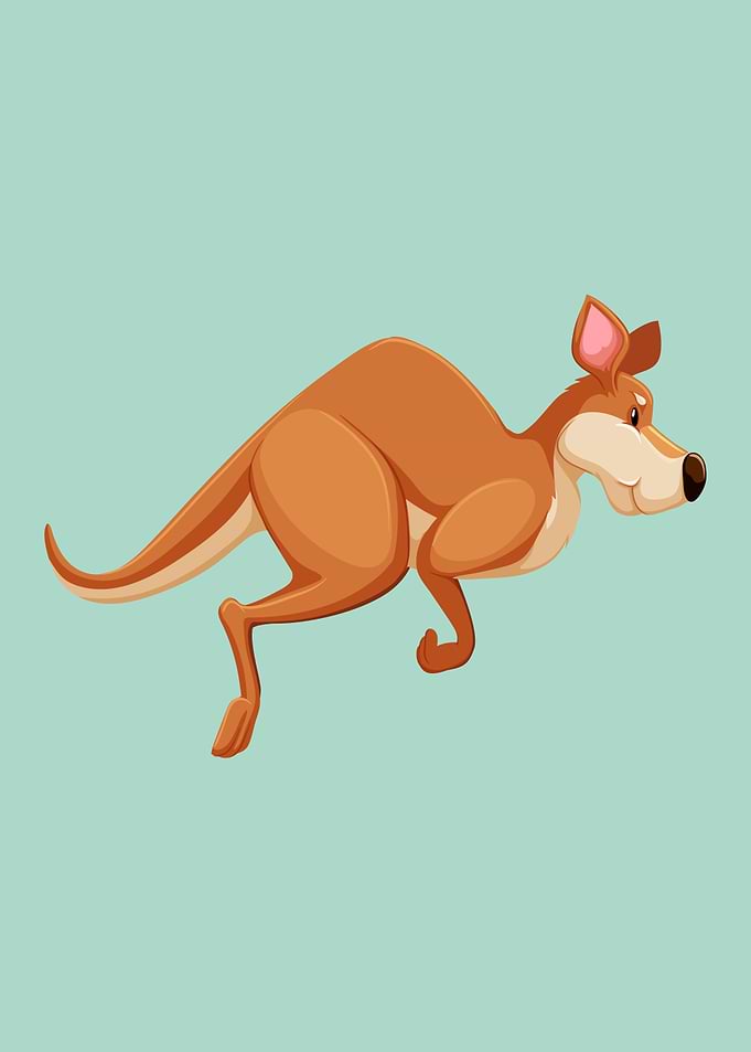 Kangaroo
