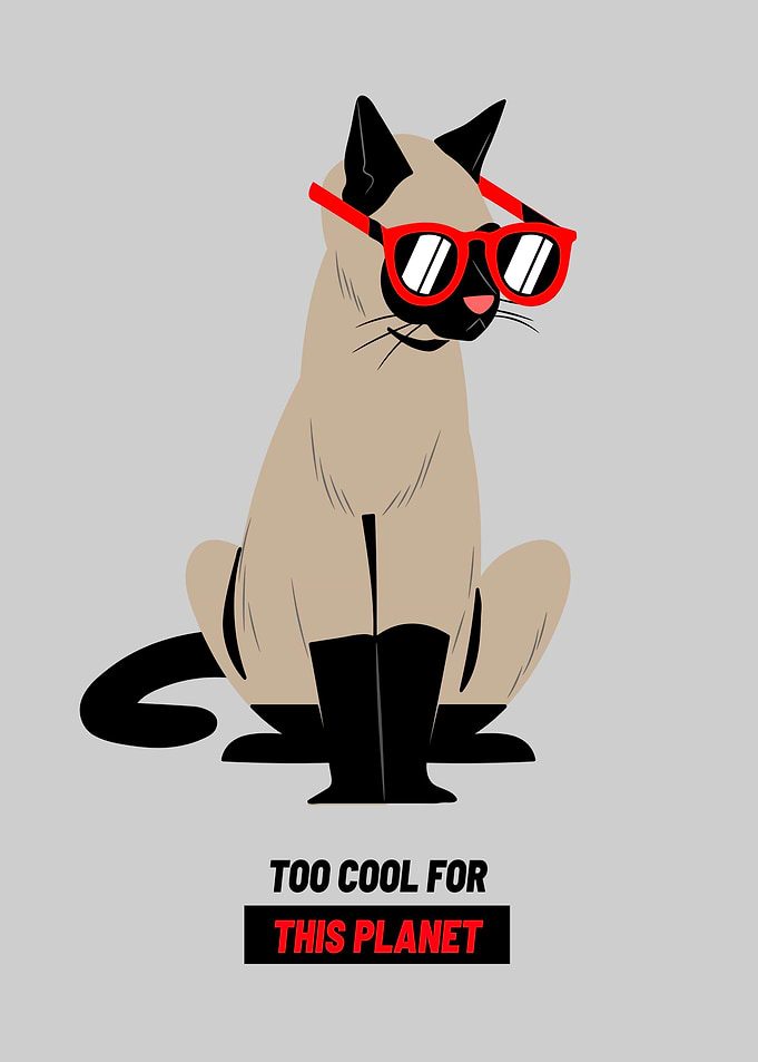 Funny Cat with Sunglasses
