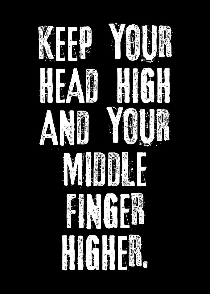 Rude Funny Quotes Finger