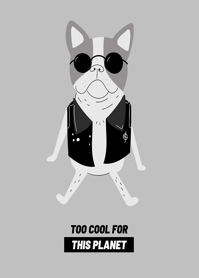 Funny Dog too Cool