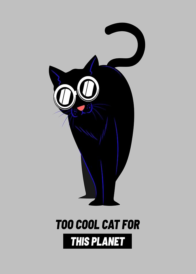 Funny Cat too Cool